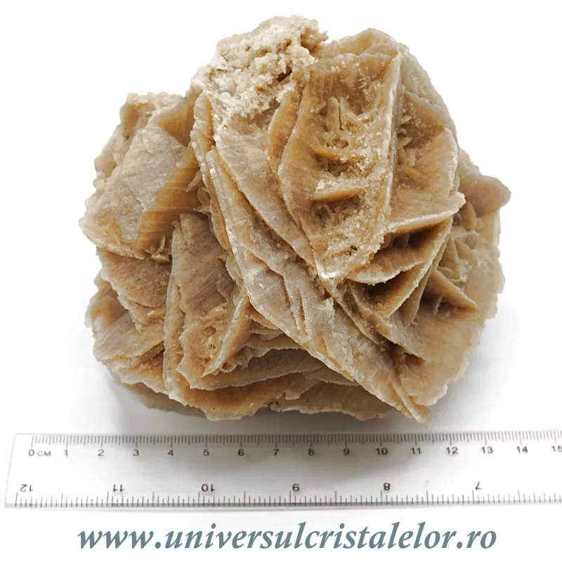 Trandafirul desertului Trandafirul desertului