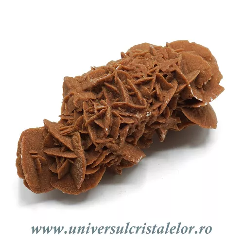 Trandafirul desertului  Trandafirul desertului