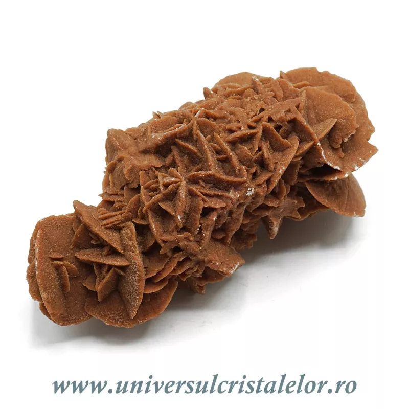 Trandafirul desertului Trandafirul desertului