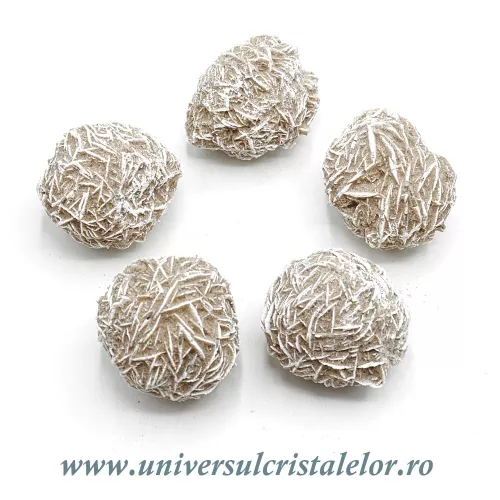 Trandafirul desertului  Trandafirul desertului