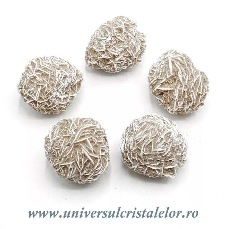Trandafirul desertului Trandafirul desertului