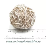 Trandafirul desertului Trandafirul desertului