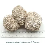 Trandafirul desertului Trandafirul desertului