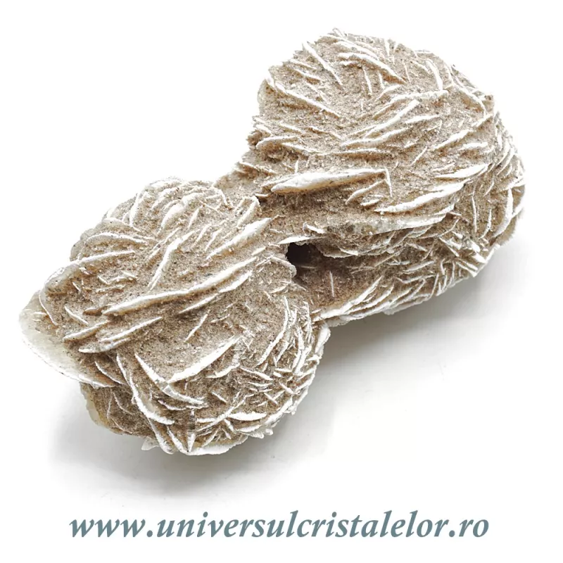 Trandafirul desertului Trandafirul desertului