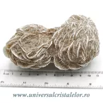Trandafirul desertului Trandafirul desertului