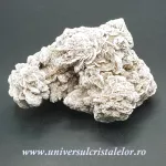 Trandafirul desertului Trandafirul desertului