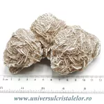 Trandafirul desertului Trandafirul desertului