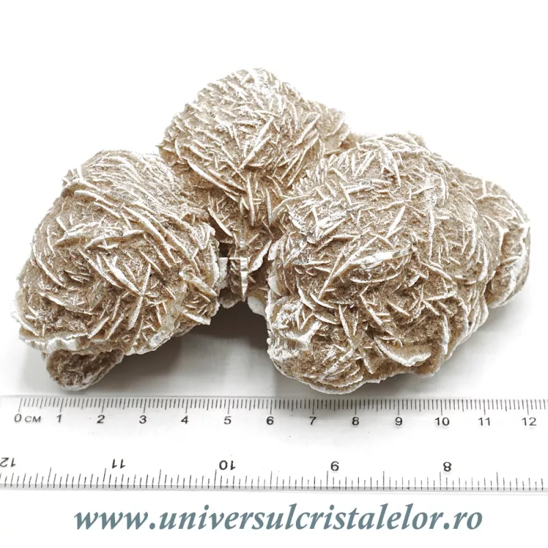 Trandafirul desertului Trandafirul desertului