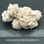 Trandafirul desertului Trandafirul desertului