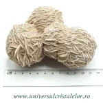 Trandafirul desertului Trandafirul desertului