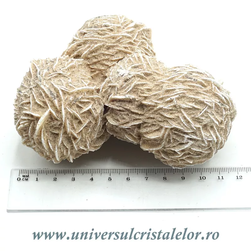 Trandafirul desertului Trandafirul desertului