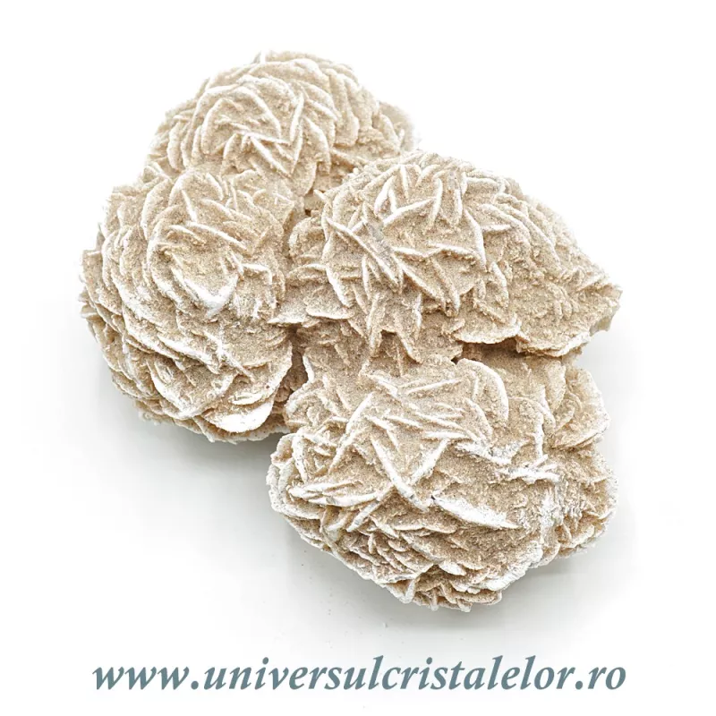 Trandafirul desertului Trandafirul desertului