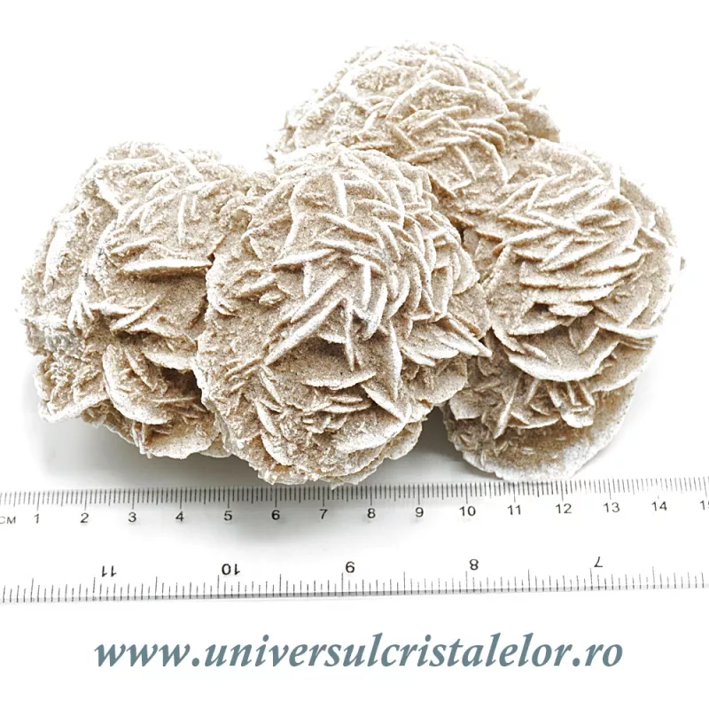 Trandafirul desertului Trandafirul desertului