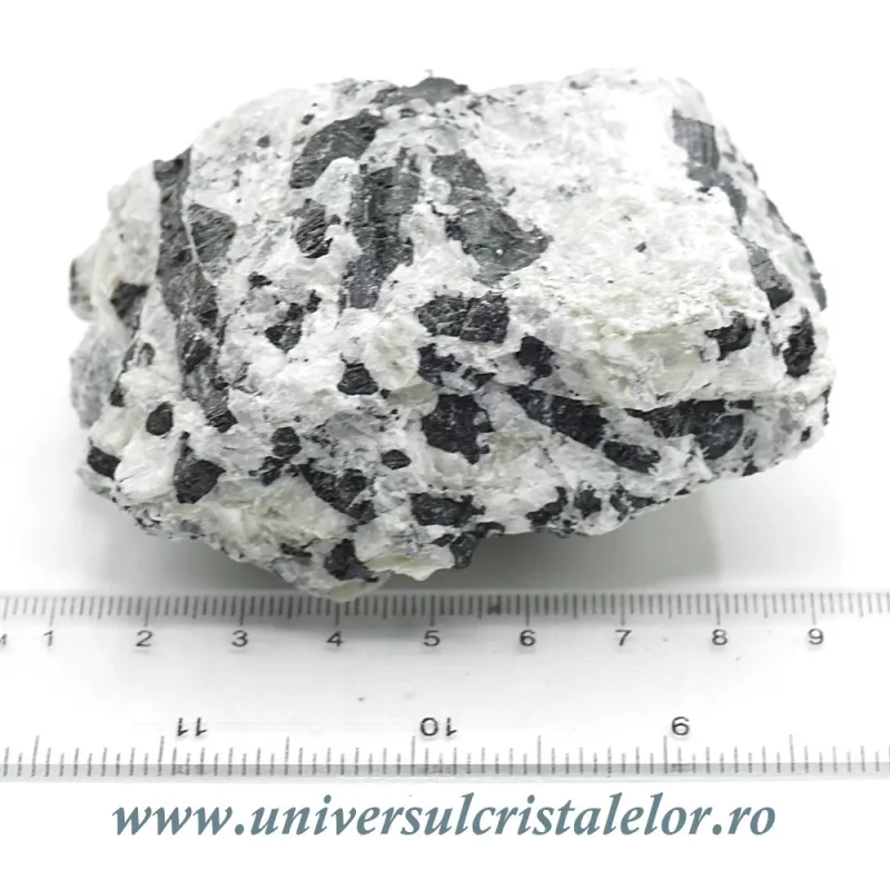 Turmalina neagra in cuart Turmalina neagra in cuart