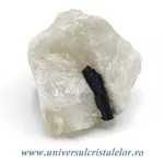 Turmalina neagra in cuart Turmalina neagra in cuart