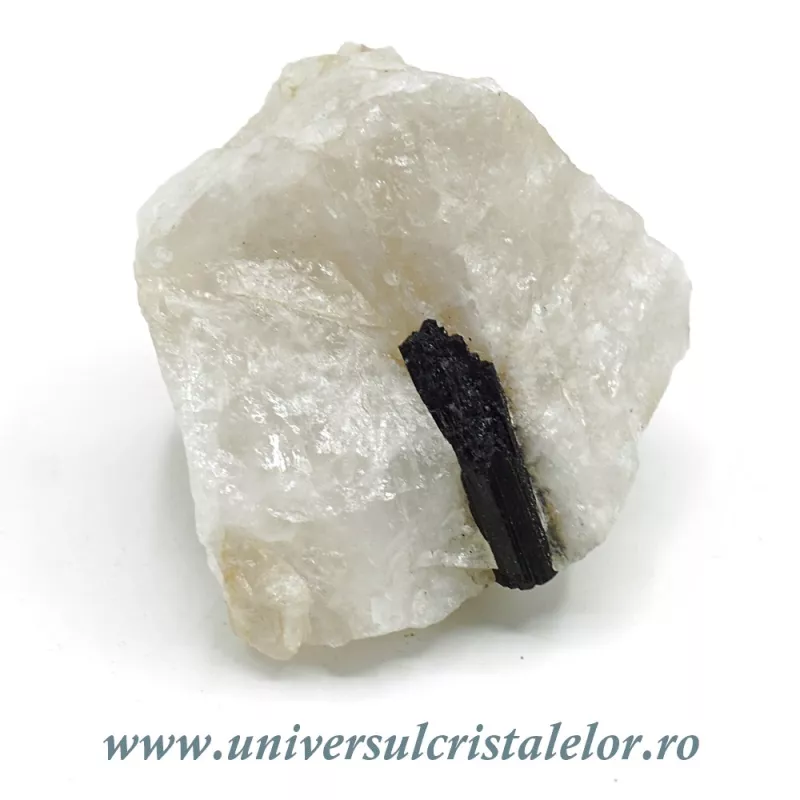 Turmalina neagra in cuart Turmalina neagra in cuart