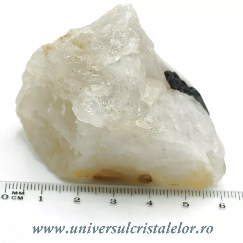 Turmalina neagra in cuart Turmalina neagra in cuart