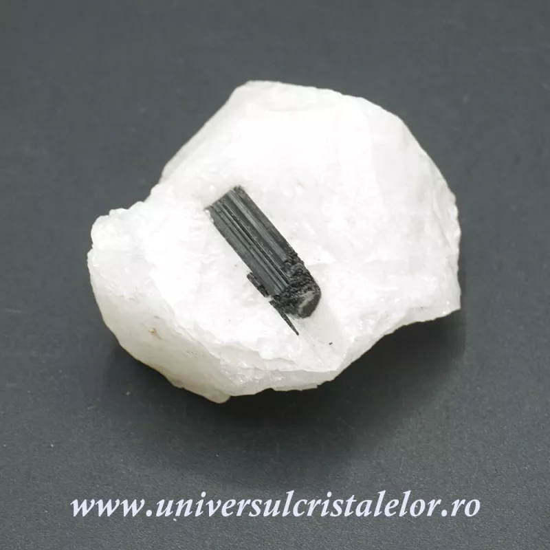 Turmalina neagra in cuart Turmalina neagra in cuart