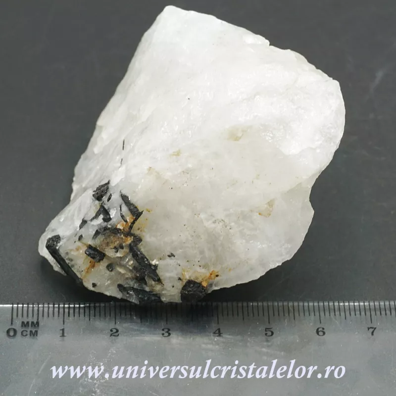 Turmalina neagra in cuart Turmalina neagra in cuart