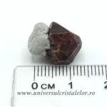 Zircon Zircon