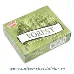 Conuri parfumate forest (padure)