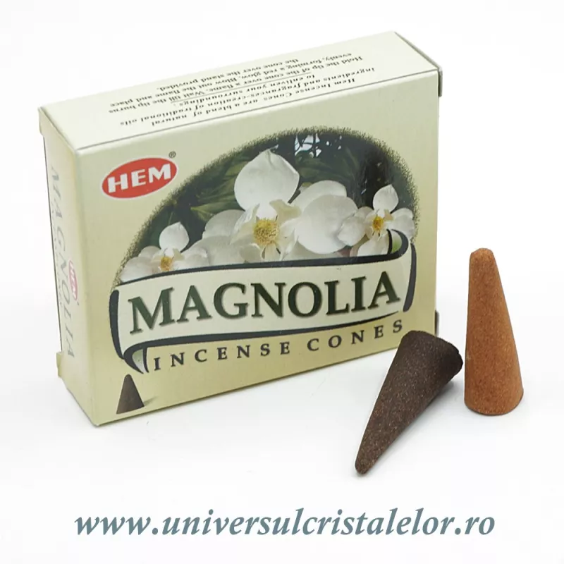 Conuri parfumate magnolie Conuri parfumate magnolie