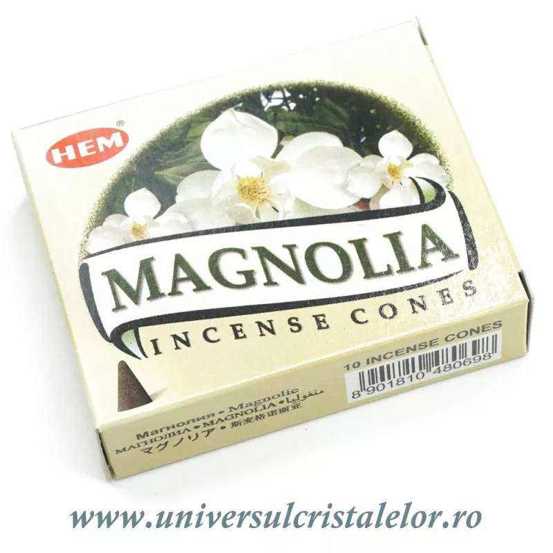 Conuri parfumate magnolie Conuri parfumate magnolie