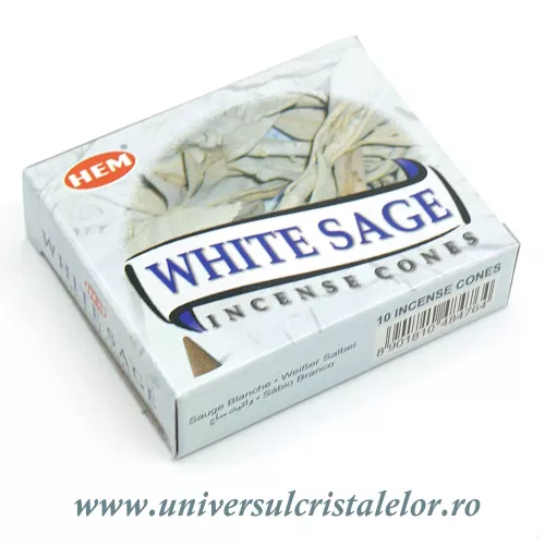 Conuri parfumate salvie alba Conuri parfumate salvie alba