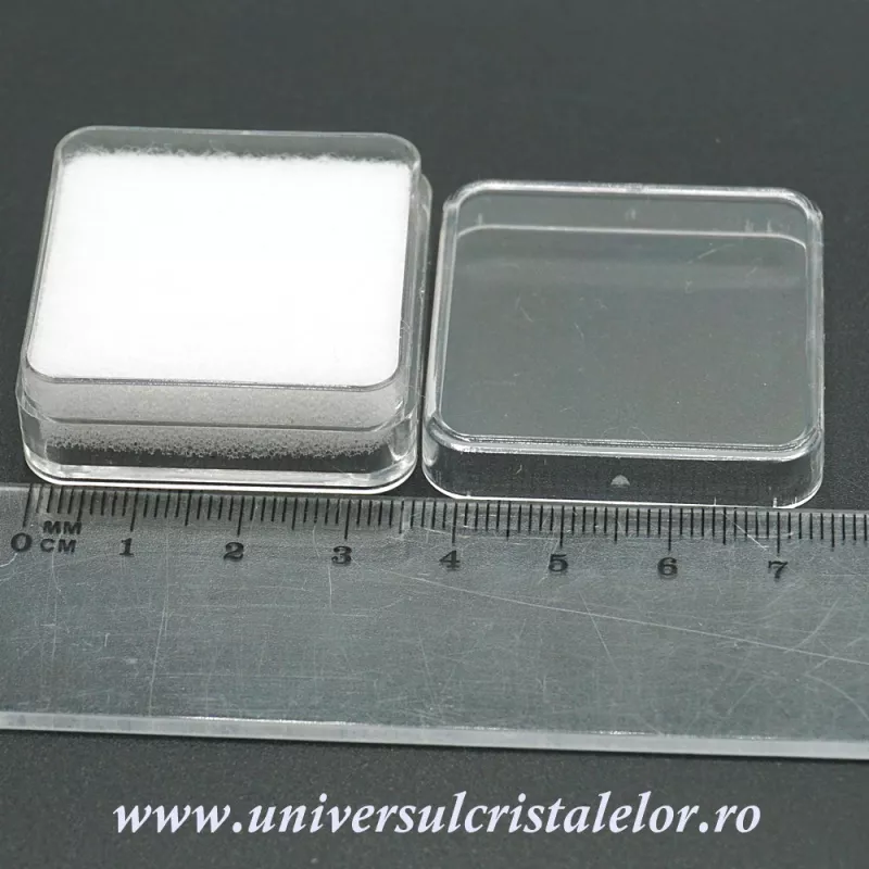 Cutii plastic Cutii plastic