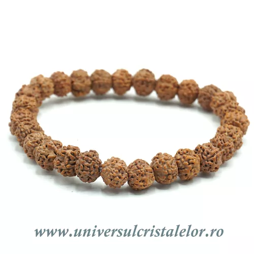 Bratara rudraksha Bratara rudraksha