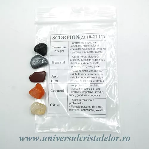 Zodia Scorpion  Zodia Scorpion