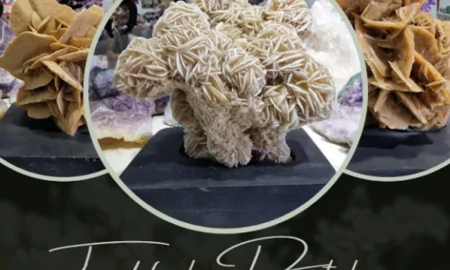 Trandafirul desertului