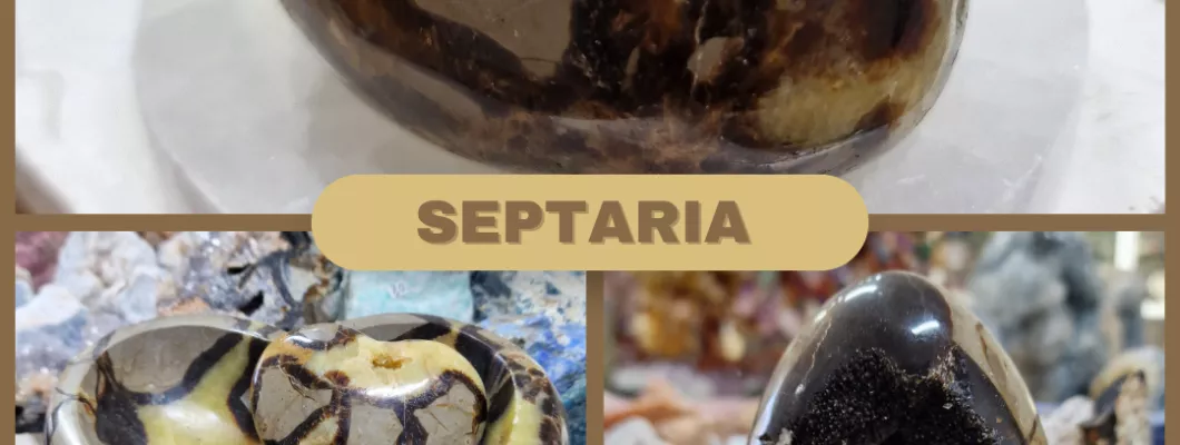 Septaria Septaria