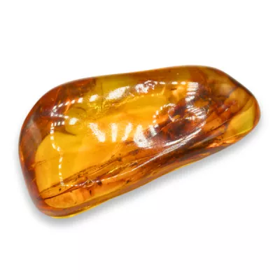 Chihlimbar ( Ambra ) 