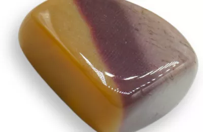 Jasp mookait (Jasp australian)