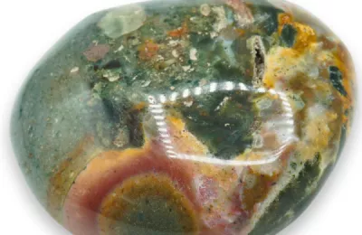 Jasp oceanic (Jasp orbicular)