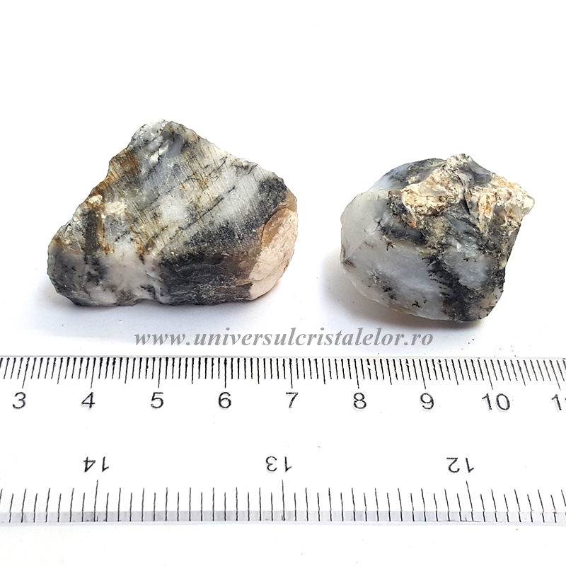 Opal dendritic ( merlinit ) Opal dendritic ( merlinit )