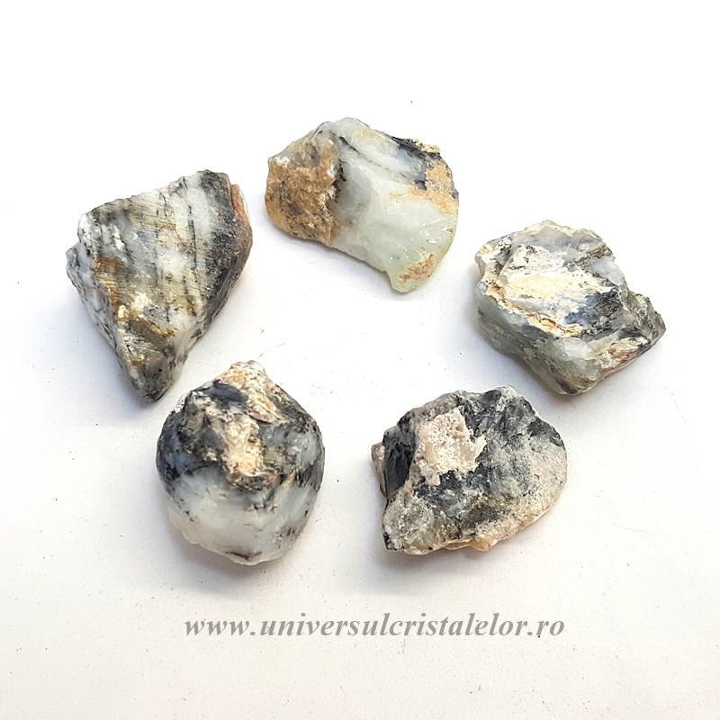 Opal dendritic ( merlinit )