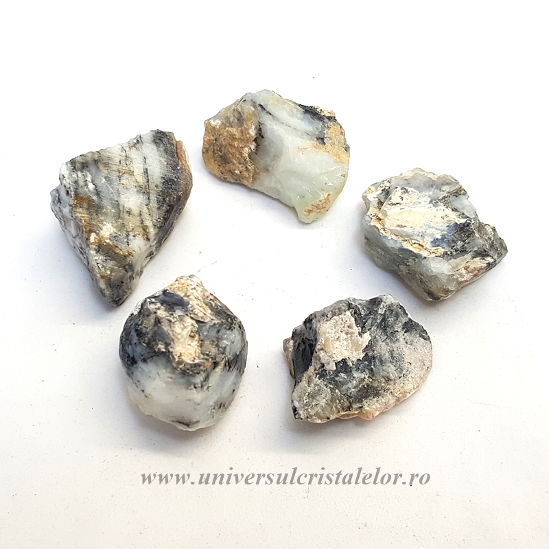 Opal dendritic ( merlinit ) Opal dendritic ( merlinit )
