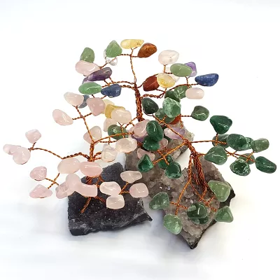 Pomi 50-70 lei