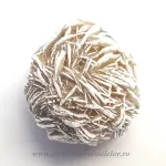 Trandafirul desertului Trandafirul desertului