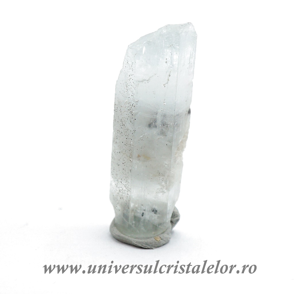 ASUS Monitor Acvamarin m4