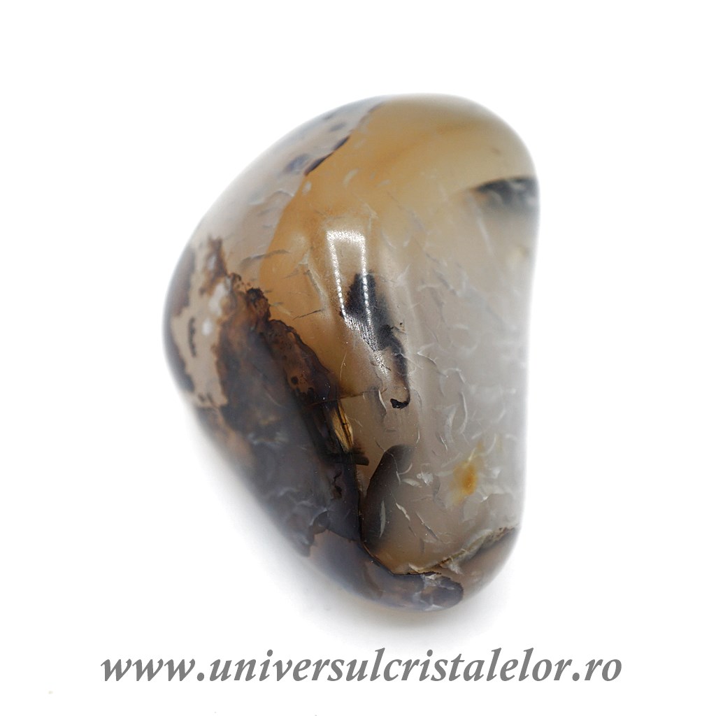 Collectibles Agat dendritic polisat unicat m07