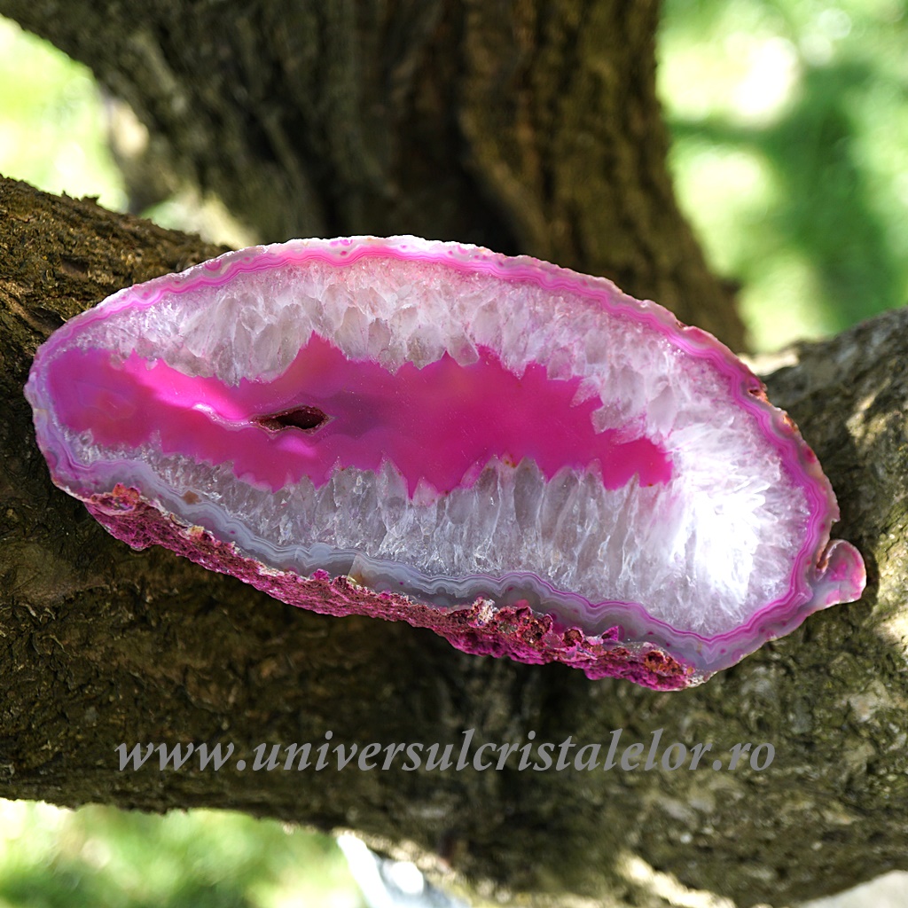 Collectibles Felie agat roz unicat m02