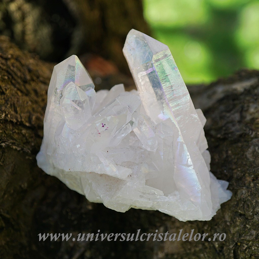 Angel aura cluster