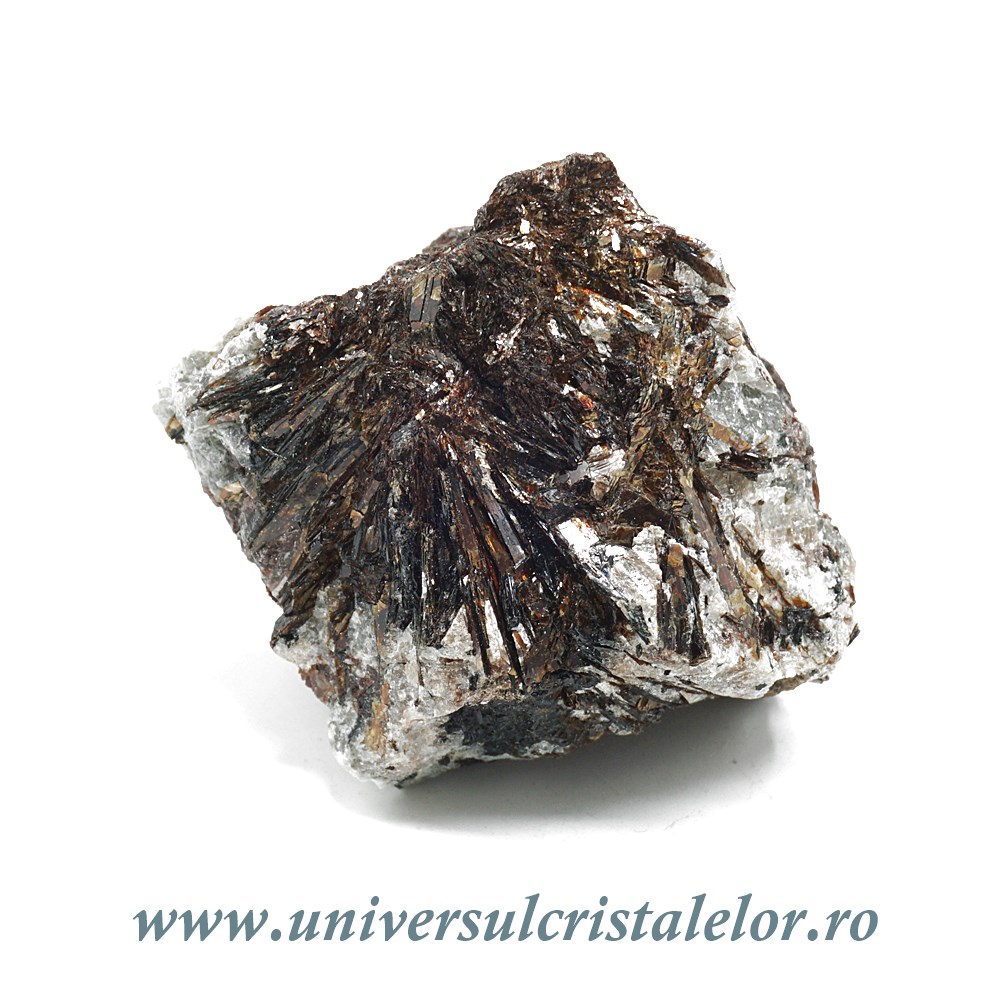 Astrofilit mineral unicat m6