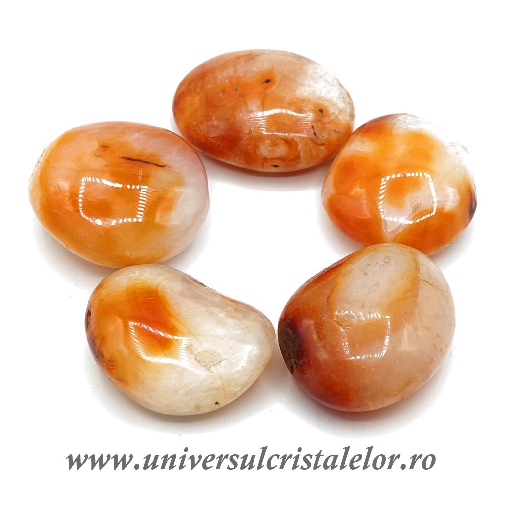 maşina polisat auto cu acumulator Carneol polisat m3