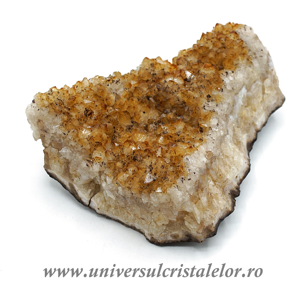 Citrin cluster m23