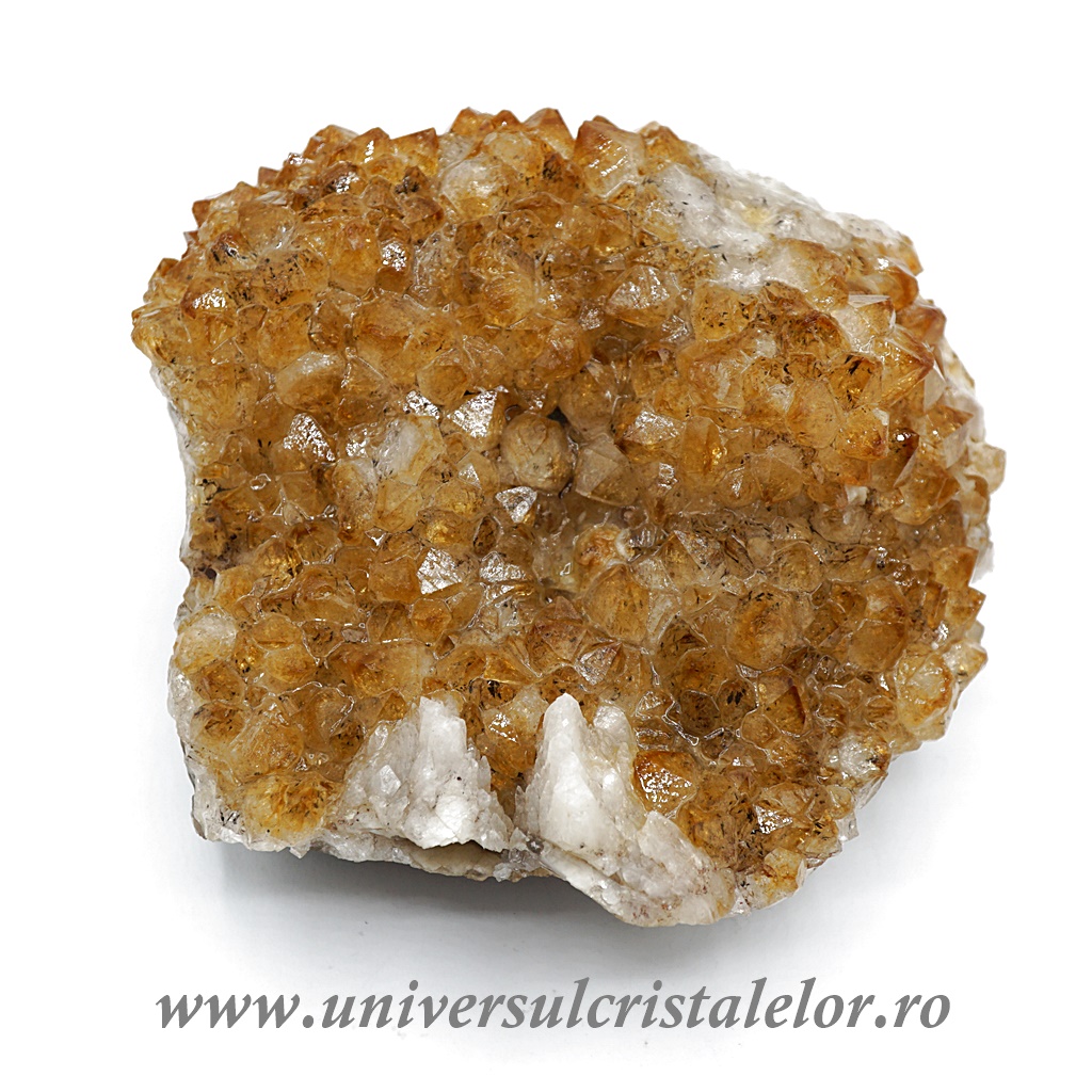 Citrin Citrin cluster m30