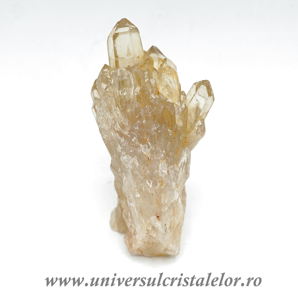 the ordinary natural moisturizing factors + ha Citrin natural m19